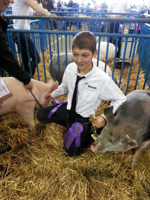 Lively Bidding At The Alaska State Fair 4