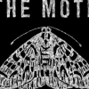 The_Moth_Logo