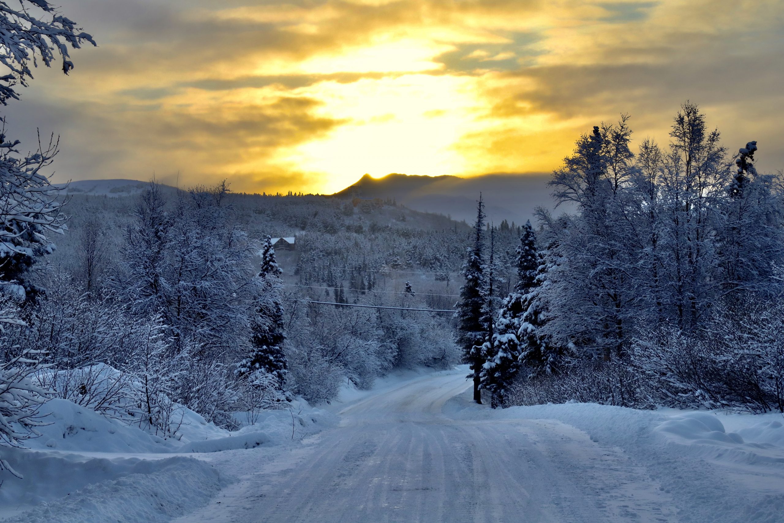 PHOTOS SNOW In Anchorage But Maybe Not For Long The Weather Service 