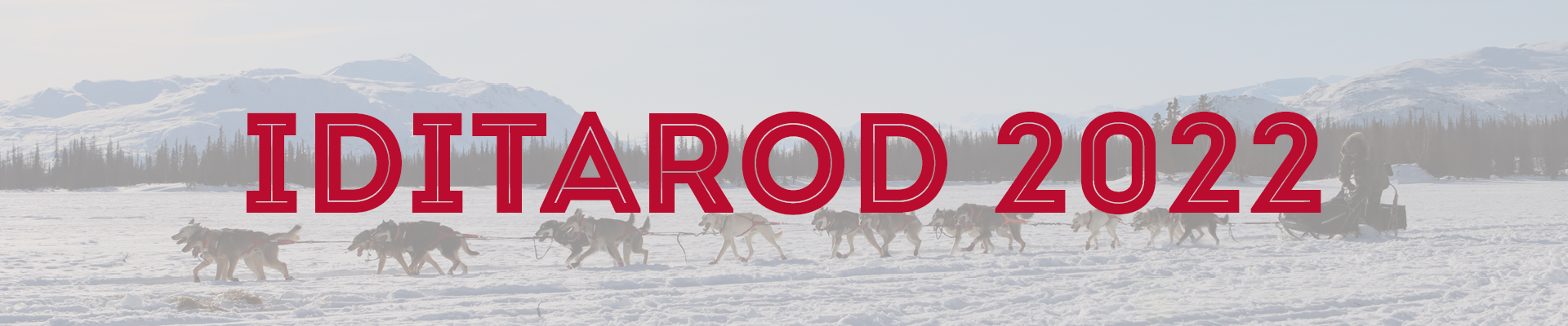 Iditarod 2022 banner