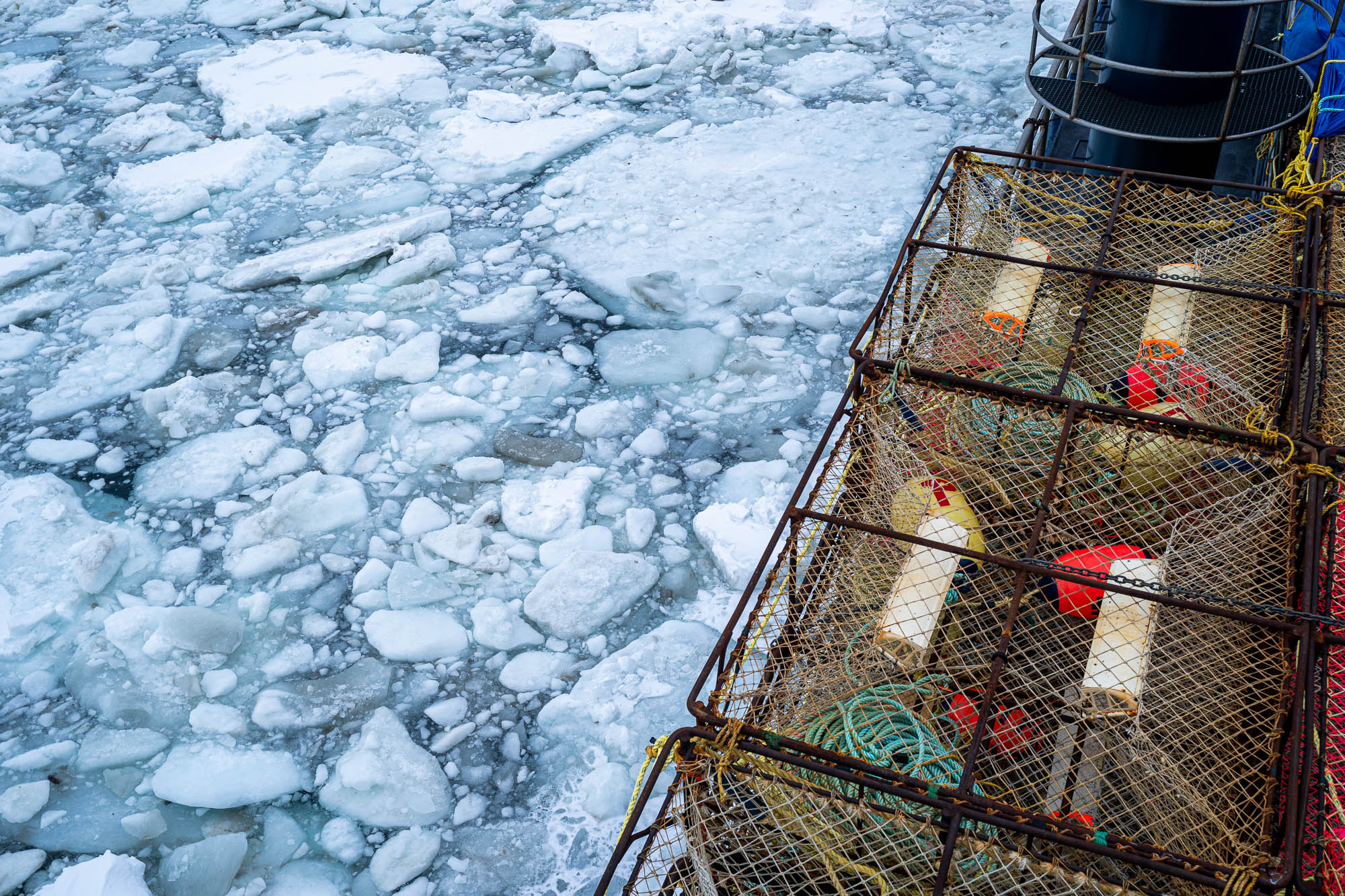 Alaska Snow Crab Fishery Saw Steep Decline This Reporter Went Into The Ice To See It For Himself Alaska Public Media