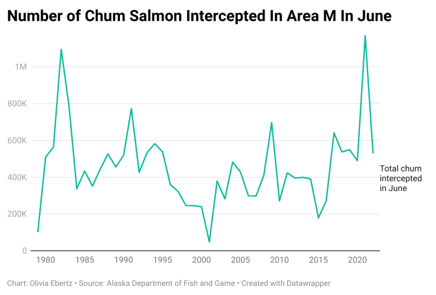 Graph: Number of Chum Salmon Intercepted in Area M in June