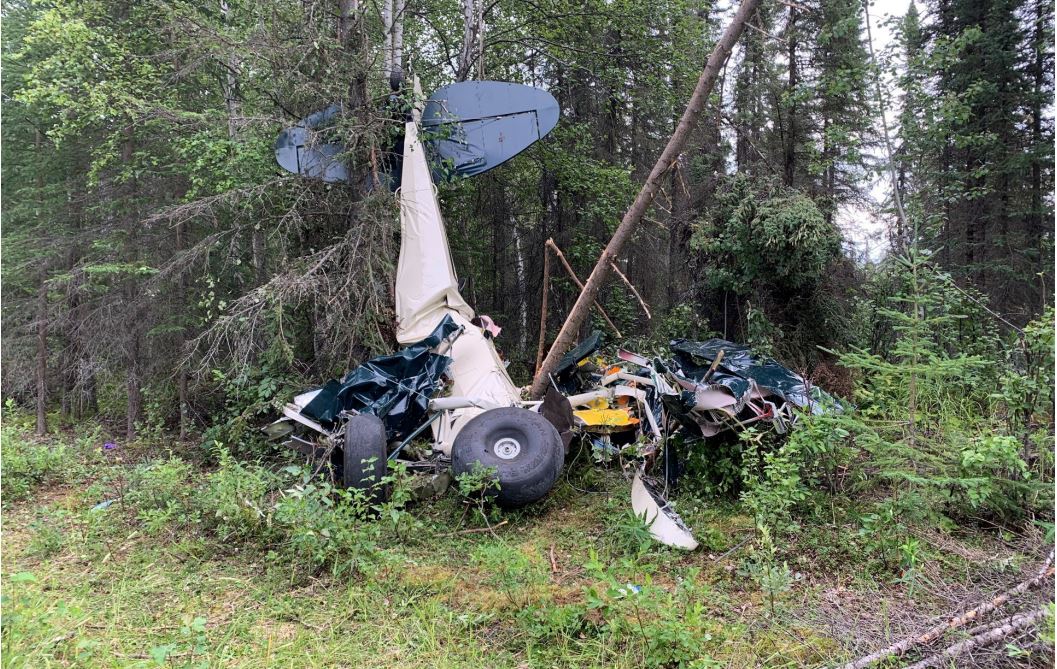 The wreckage of a small white and blue plane leans against a stand of spruce trees.